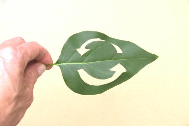 Elinde yeşil bir yaprak olan yuvarlak ekonomi sembolü. Sürdürülebilir ekonomi, tarım ve gıdanın sembolü olarak yeşil bir yaprağın üzerinde iki ok kovalıyor. 