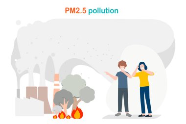 Hava kirliliğinin nedenlerinin düz stili başbakan 2.5.