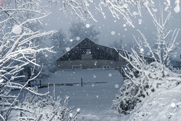 Case Campagna Vicino Alla Foresta Durante Nevicata Durante Giornata Invernale — Foto Stock