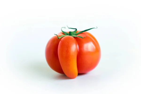Tomates Vermelhos Deformados Sobre Fundo Branco — Fotografia de Stock