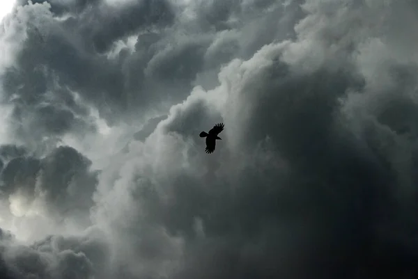 Dramatische Stormwolken Raaf Vlucht Door Dynamische Lucht Zwarte Vogel Als — Stockfoto