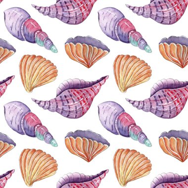 Beyaz zemin üzerinde tropikal deniz kabukları olan sulu boya deseni.