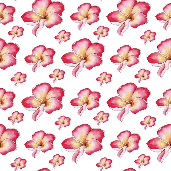 Acuarela Frangipani Plumeria Fondo Flores Patrón Floral Sin Costuras —  Fotos de Stock