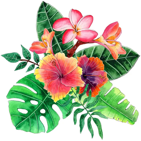 Frangipani, Hibiscus, Monstera ve diğer yapraklarla suluboya Yaz Tropik Kompozisyonu.