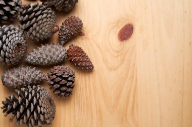 Kurumuş çam kozalaklarının arkaplanı, yukarıdan görünüşü ve fotokopisi olan kendi Noel 'i
