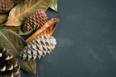 Noel hediyesi paketleri kağıt ve kozalaklara sarılmış kuru yapraklarla