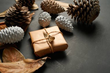 Paketlenmiş bir hediye çam kozalakları ve yapraklarla çevrili çuval bezine dayanır..