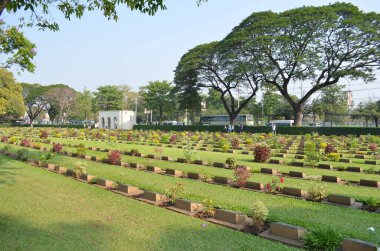 Bangkok 'taki eski mezarlıkta.