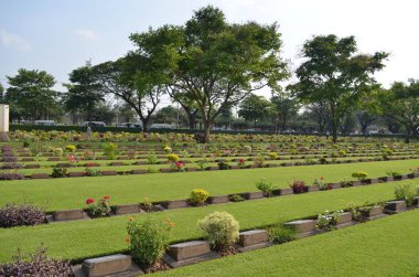 Parkın bahçesindeki bahçenin güzel çiçekleri.