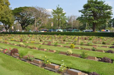 Parktaki çiçek bahçesi.