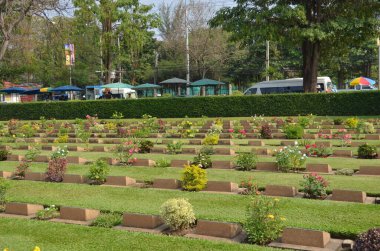 Bahçedeki çiçekler.