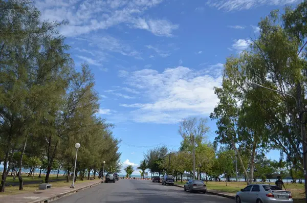 Parkın güzel manzarası