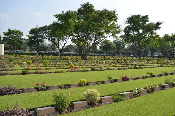 Parkın bahçesindeki bahçenin güzel çiçekleri.
