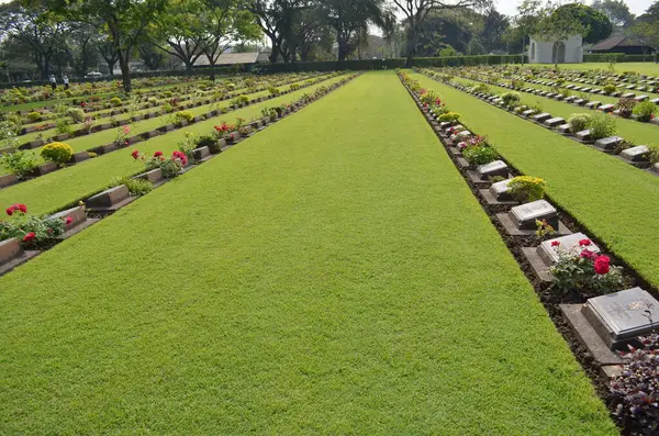 İsrail Eyaleti parkındaki ölü deniz mezarlığının manzarası.