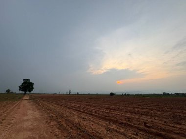 Doğanın güzel manzarası