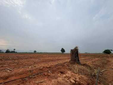 Kırsal manzarası çok güzel.