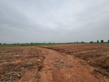 Kırsal kesimde kırsal yol