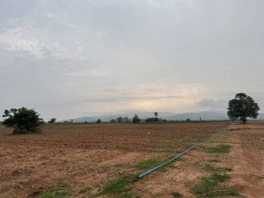 Ağacı ve dağı olan güzel bir manzara.