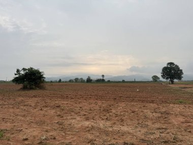 Tarlanın güzel manzarası