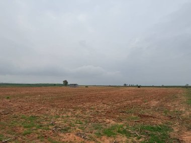 Kırsal alanda yeşil alan