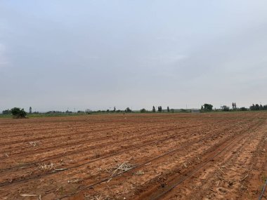 Kırsal alanda yeşil alan