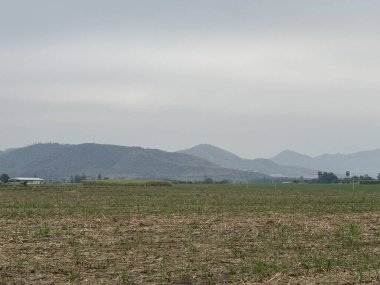 Doğanın güzel manzarası