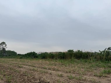 Kırsal manzarası çok güzel.