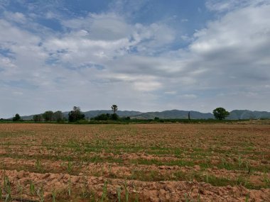 Dağların yanındaki topraklar