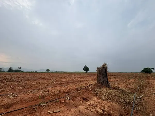 Kırsal manzarası çok güzel.