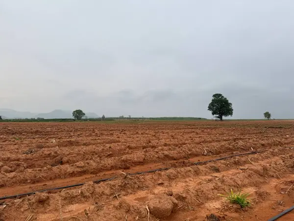 Dağların güzel manzarası