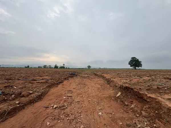 Şiddetli yağmurdan sonra yol