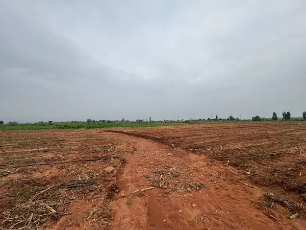 Kırsal kesimde kırsal yol