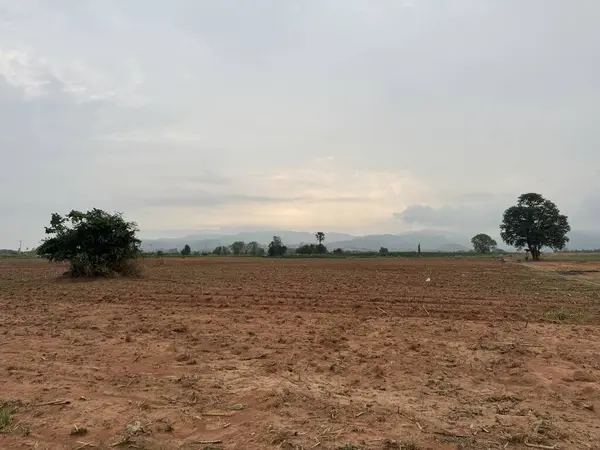 Tarlanın güzel manzarası