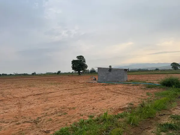 Tayland kırsalında bir çiftlik arazisi.