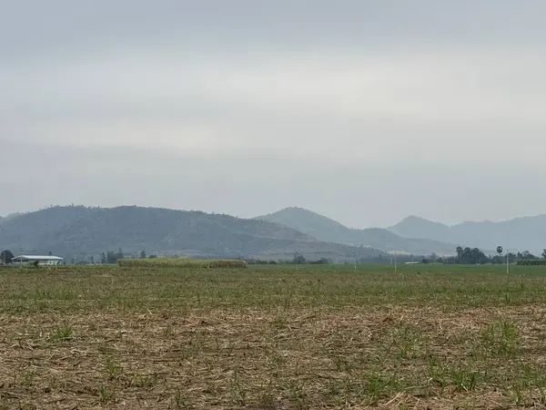 Doğanın güzel manzarası