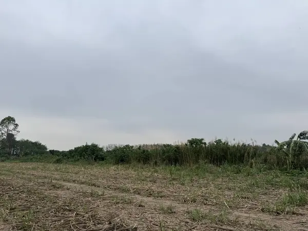 Kırsal manzarası çok güzel.