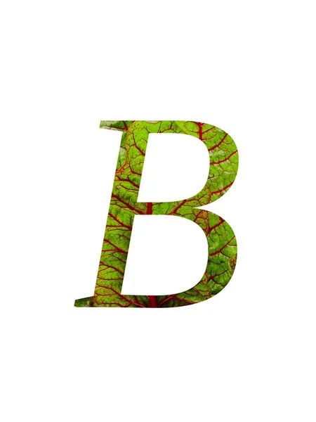 字母B的字母B 由瑞士菜园 Beta Vulgaris 的红色和绿色叶子制成 颜色为红色和绿色 背景为白色 — 图库照片