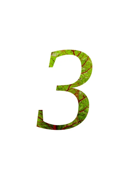 Número Del Alfabeto Hecho Con Una Hoja Roja Verde Acelga — Foto de Stock