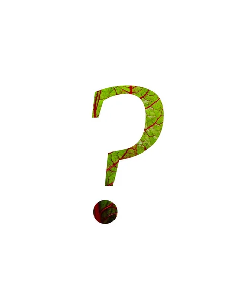 野菜の赤と緑の葉で作られたアルファベットのクエスチョンマークスイスのカード ベータValgaris 赤と緑の色と 白い背景に隔離されました — ストック写真