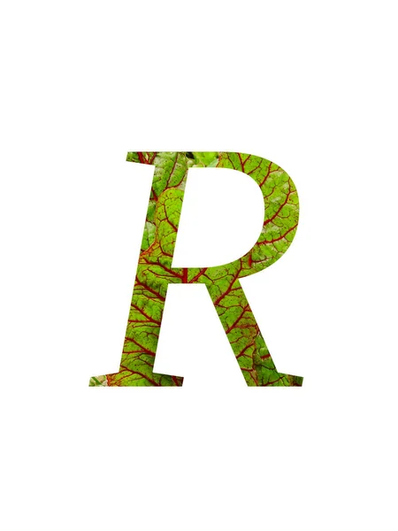 字母R 由瑞士菜园 Beta Vulgaris 的红色和绿色叶子制成 颜色为红色和绿色 背景为白色 — 图库照片