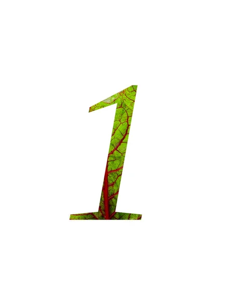 Número Alfabeto Feito Com Uma Folha Vermelha Verde Acelga Suíça — Fotografia de Stock