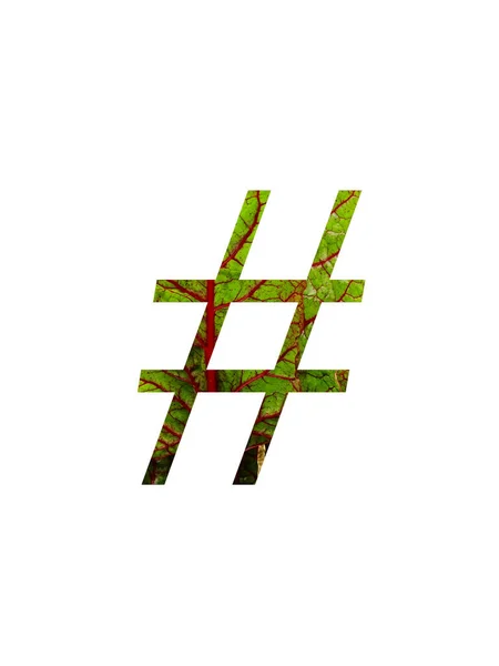 Hashtag Abecedy Červeným Zeleným Listem Zeleninové Švýcarské Chard Beta Vulgaris — Stock fotografie
