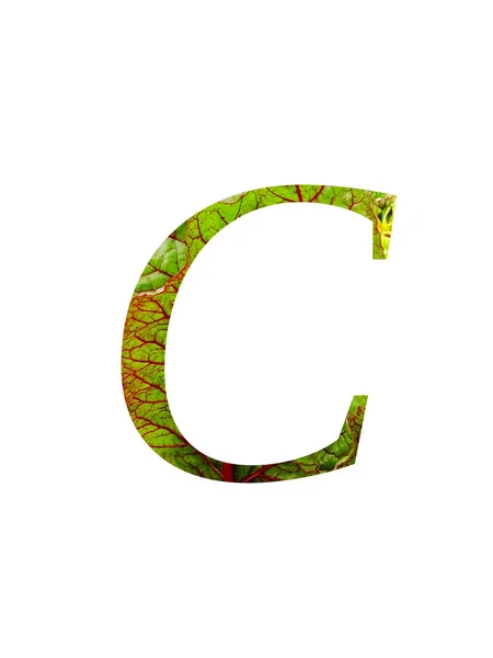 字母C的字母C 由瑞士菜园 Beta Vulgaris 的红色和绿色叶子制成 颜色为红色和绿色 背景为白色 — 图库照片