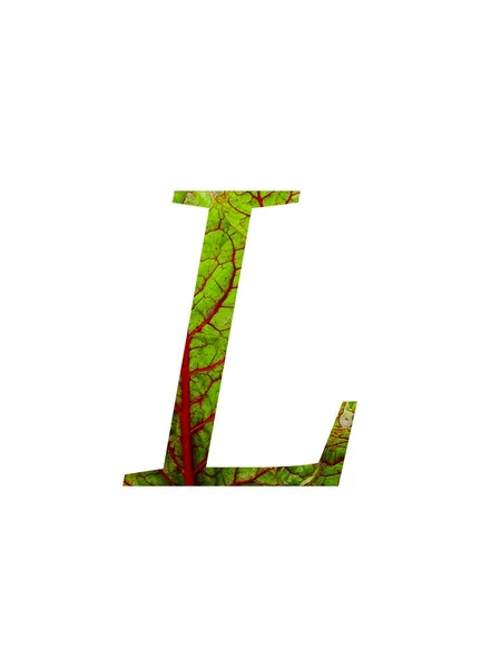 Buchstabe Des Alphabets Mit Einem Roten Und Grünen Blatt Des — Stockfoto