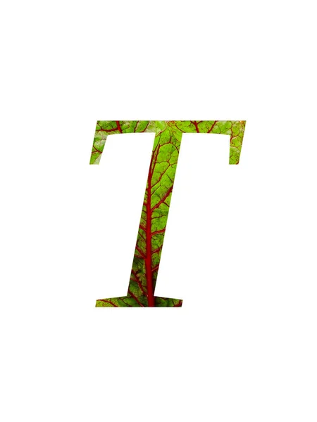 녹색을 스위스 불가리 식물의 잎으로 알파벳 글자는 바탕에 떨어져 붉은색 — 스톡 사진