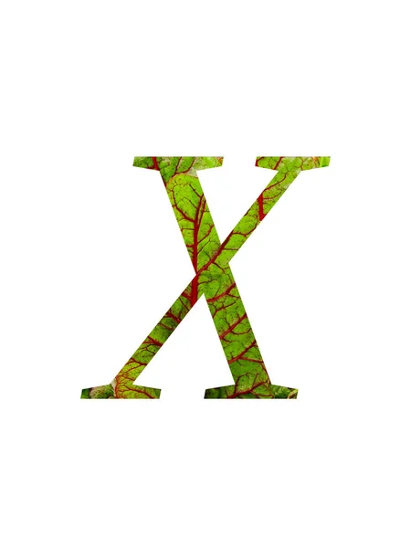 스위스 채소밭 불가리 잎으로 알파벳 배경에 빨간색 녹색으로 분리되어 — 스톡 사진