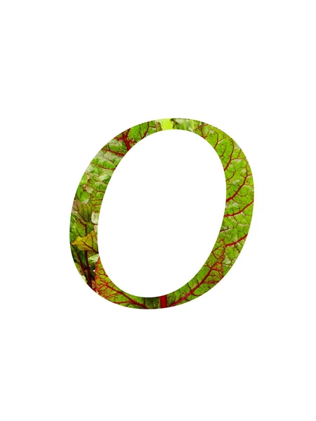 野菜の赤と緑の葉で作られたアルファベットの手紙スイスのカード ベータValgaris 赤と緑の色で 白い背景に隔離された — ストック写真