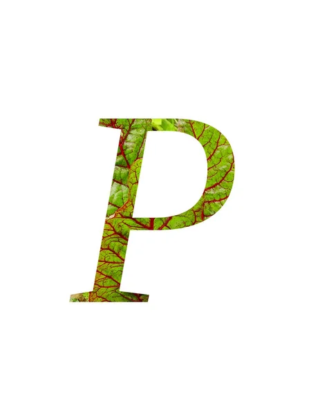 野菜の赤と緑の葉で作られたアルファベットの文字Pスイスのカード ベータValgaris 白の背景に隔離された赤と緑の色で — ストック写真