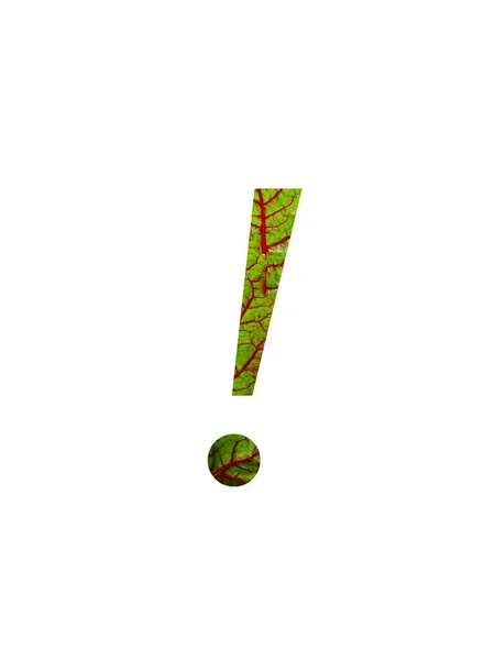 Восклицательный Знак Алфавита Выполнен Красным Зеленым Листом Овощной Швейцарской Мангольды — стоковое фото