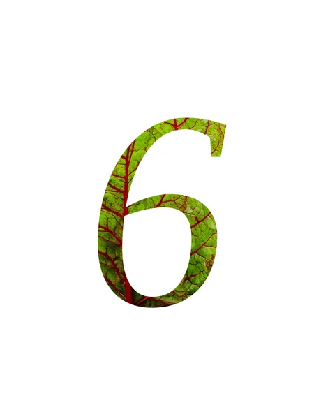 Číslo Abecedy Červeným Zeleným Listem Zeleninové Švýcarské Chard Beta Vulgaris — Stock fotografie
